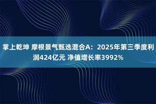 掌上乾坤 摩根景气甄选混合A：2025年第三季度利润424亿元 净值增长率3992%