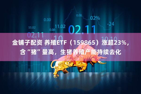 金铺子配资 养殖ETF（159865）涨超23%，含“猪”量高，生猪养殖产能持续去化