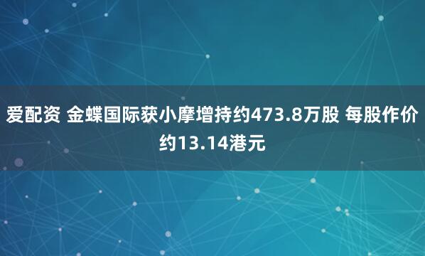 爱配资 金蝶国际获小摩增持约473.8万股 每股作价约13.14港元